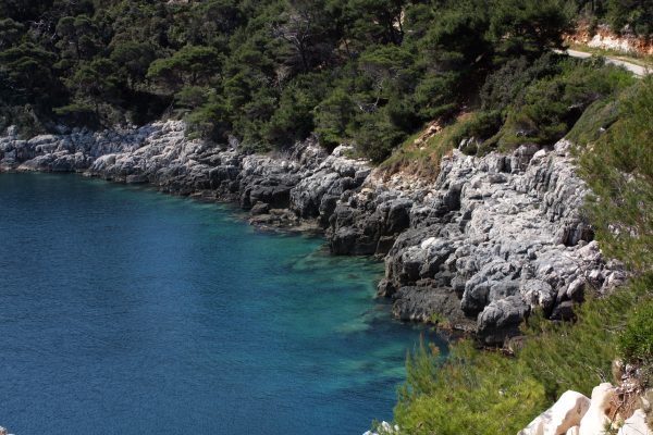 Saplunara - photo 34