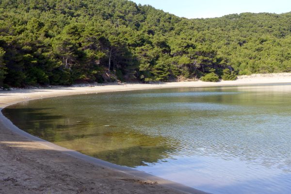 Saplunara - photo 24