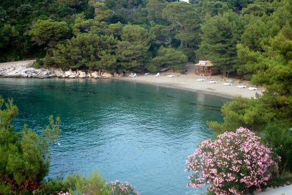 Saplunara - photo 25