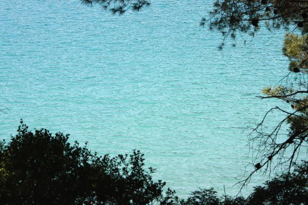 Soline - photo 21