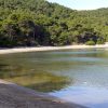 Limuni - photo 14