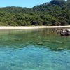 Limuni - photo 15