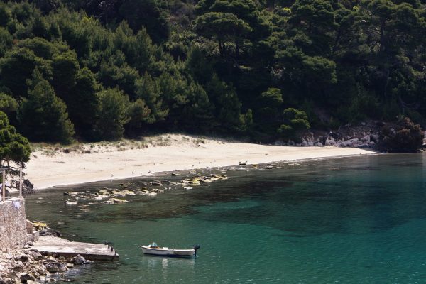Saplunara - photo 19