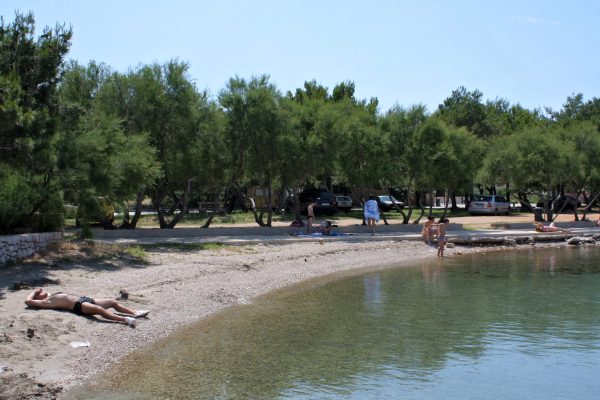Zdrače - photo 7
