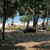 Gradska Plaža Lišanj - photo 17