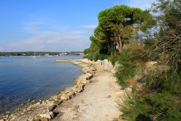 Dajla - photo 21