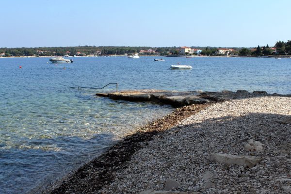 Dajla - photo 24