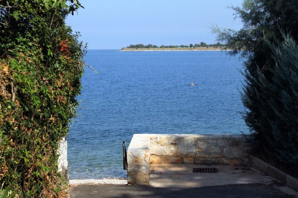 Dajla - photo 26