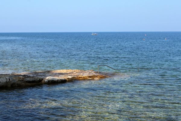Dajla - photo 27