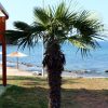 Mareda - photo 16