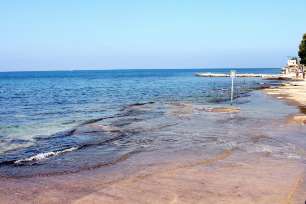 Mareda - photo 8
