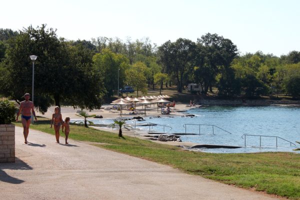 Mareda - photo 9