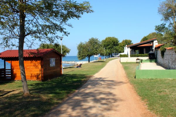 Mareda - photo 15