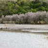 Sveti duh - photo 7