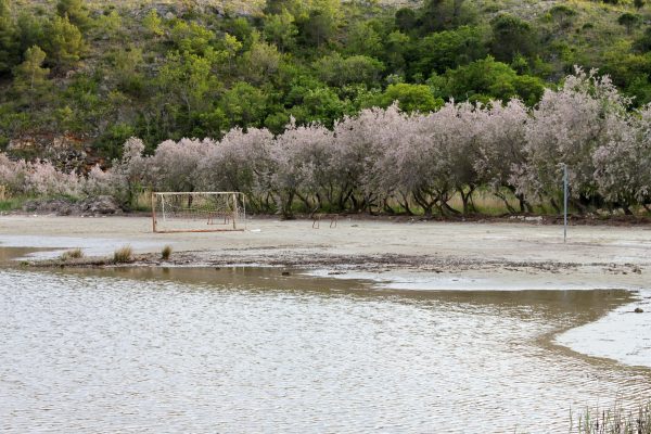 Sveti duh - photo 7