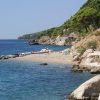 Medići - photo 20