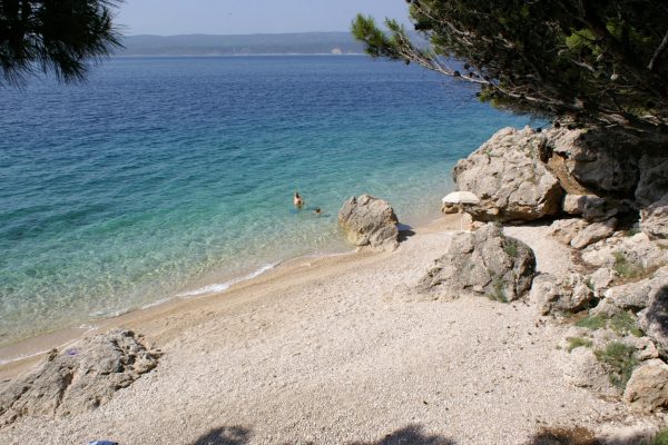 Medići - photo 30