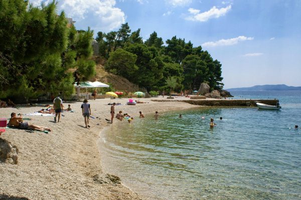 Medići - photo 33
