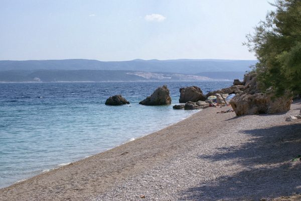 Medići - photo 34