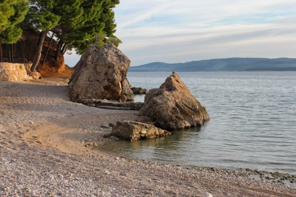 Medići - photo 35