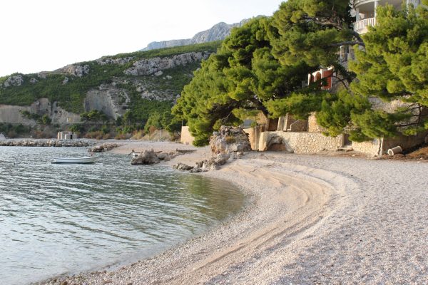Medići - photo 36