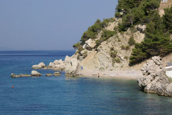 Medići - photo 37