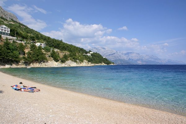 Medići - photo 9