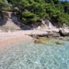 Medići - photo 12
