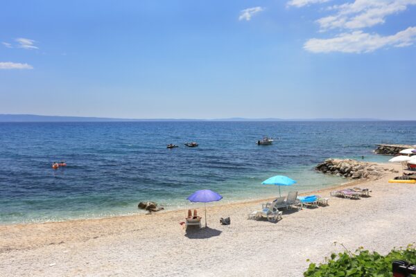 Sumpetar - photo 12