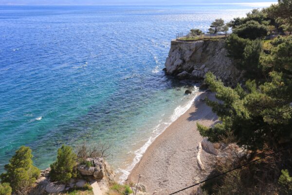 Borak - photo 1