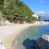 Borak - photo 10