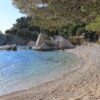 Borak - photo 12