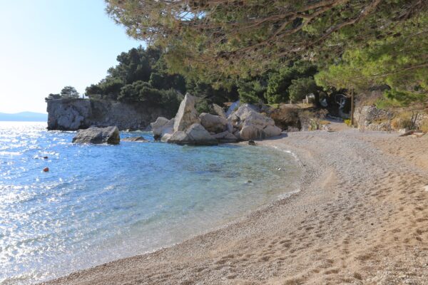 Borak - photo 12