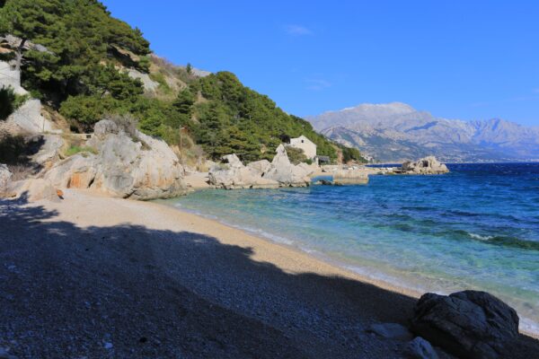 Borak - photo 13