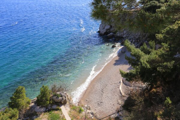 Borak - photo 15