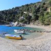 Borak - photo 3