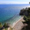 Borak - photo 4