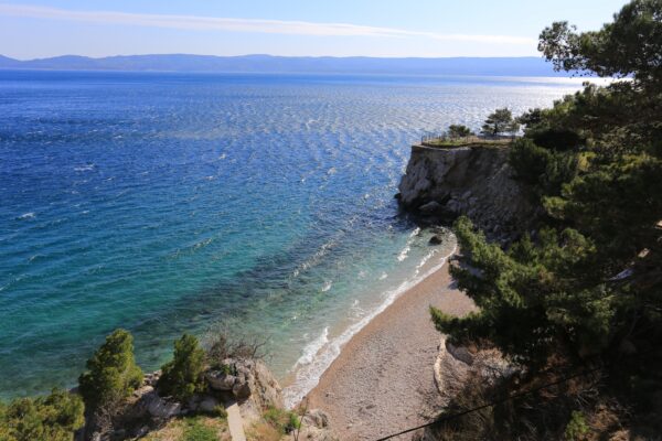 Borak - photo 4