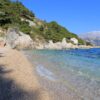 Borak - photo 5