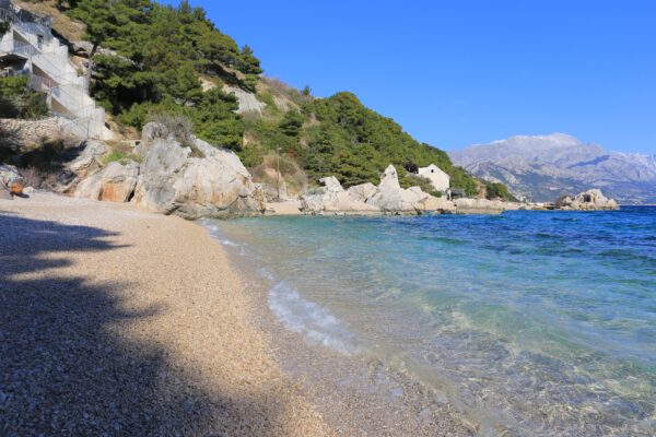 Borak - photo 5