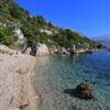 Borak - photo 6