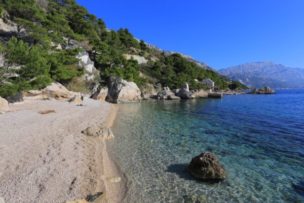 Borak - photo 6