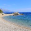 Borak - photo 7