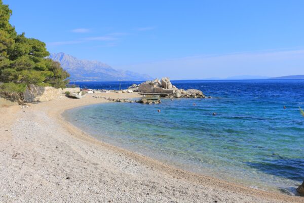 Borak - photo 7