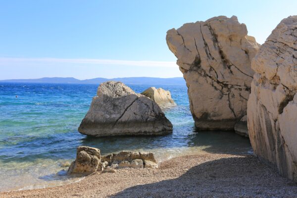 Borak - photo 8