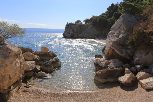 Borak - photo 9