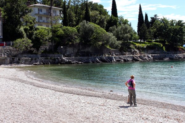 Ika - photo 14