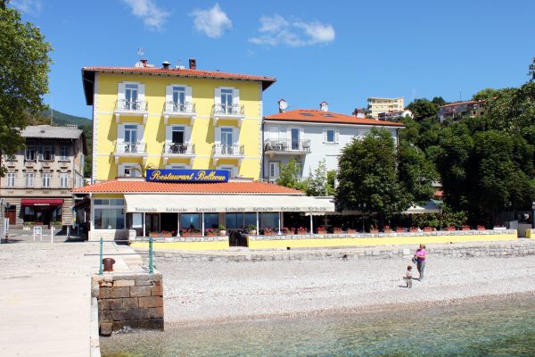 Ika - photo 23