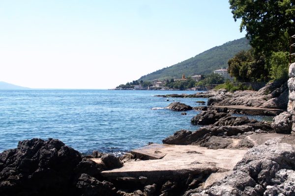 Ika - photo 15