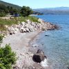 Ika - photo 16